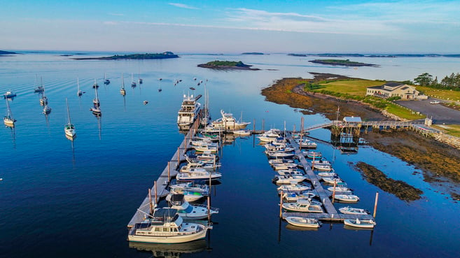 Several boats docked in the Dolphin Marina