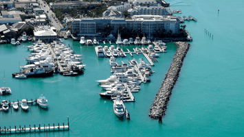 December New Marinas - Blog Header