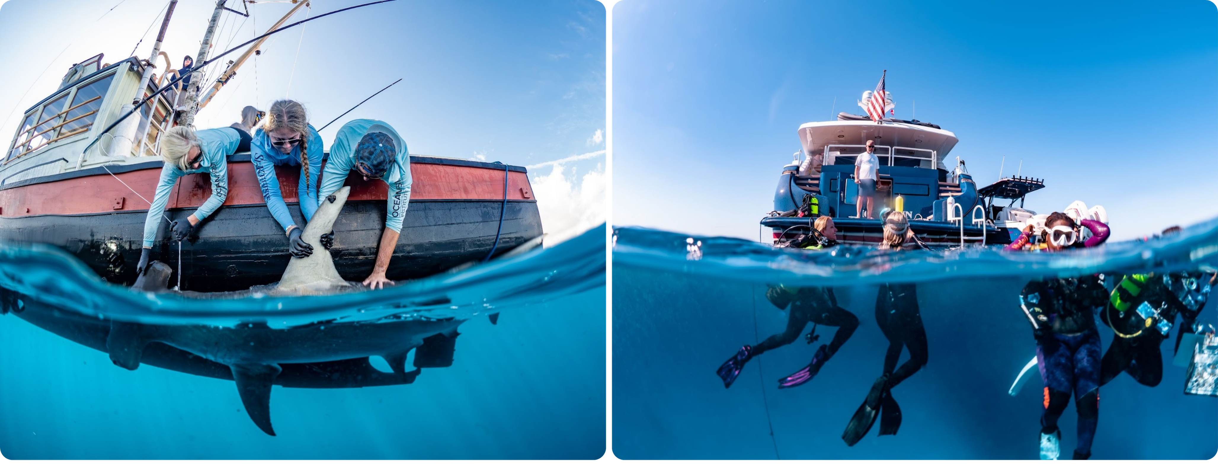 SeaKeepers Society - How to support the science