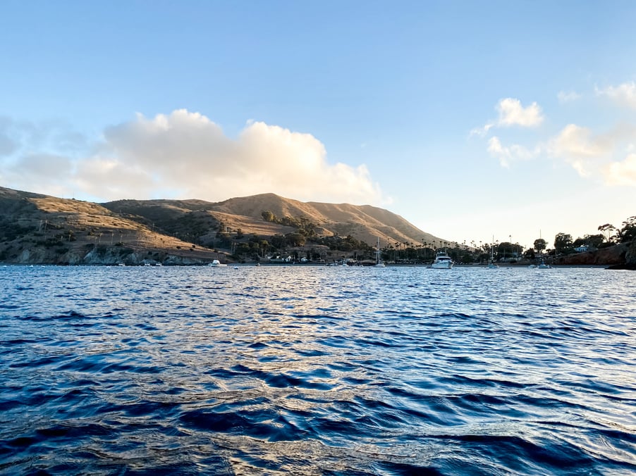 Empty Mooring fields in Catalina