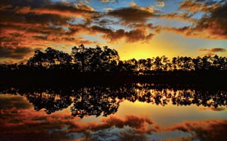 Florida_Everglades_sunset.png