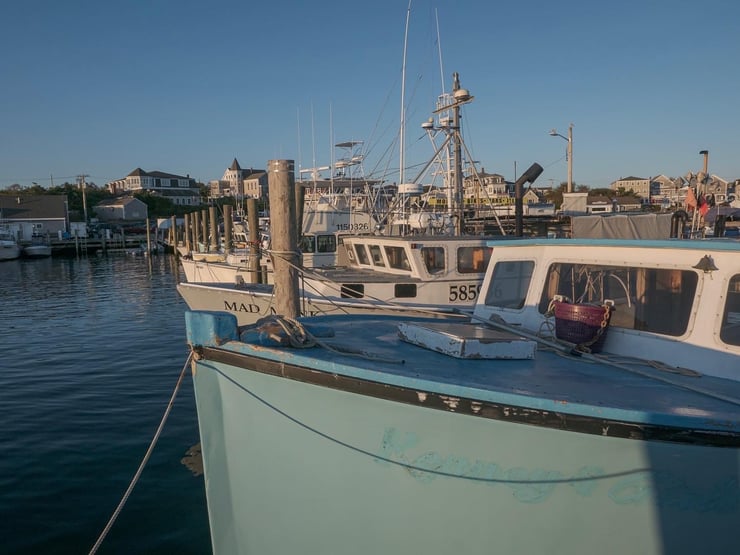 Ballard's Marina