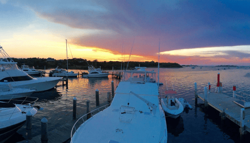 March New Marinas - Blog Header