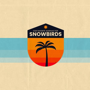 Snowbird-11