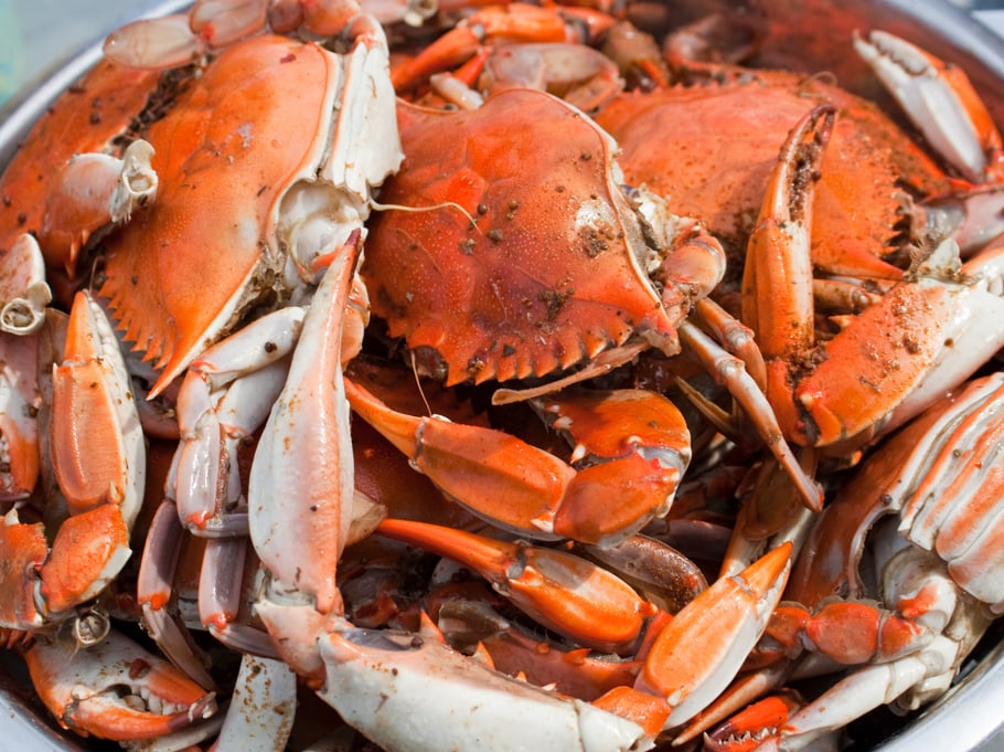 Best marinas to visit dock and dine