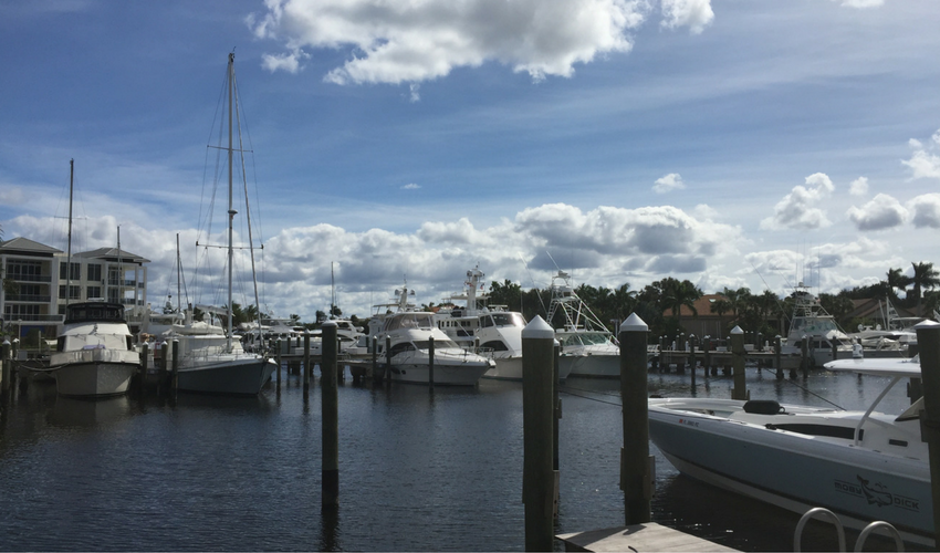 The Bluffs Marina Florida