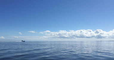 VVSB Blog header = to VA Beach + Southport (1).png