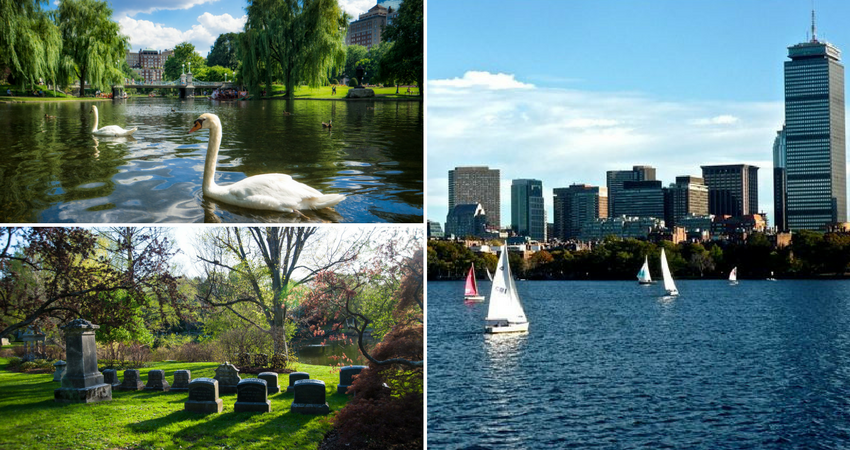 constitution_marina_boston_garden.png