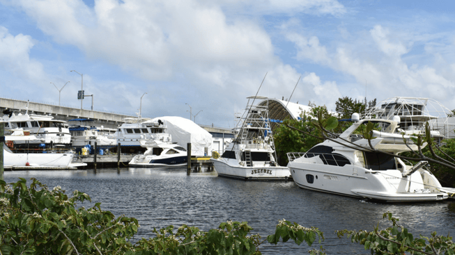 marina_mile_fort_lauderdale_florida.png