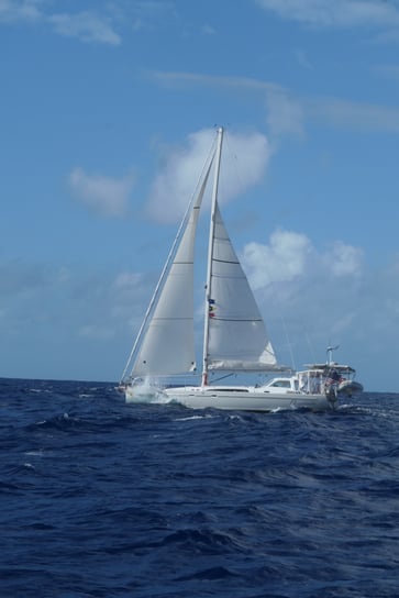 Sailing in high winds means more power to the battery bank for this boat!