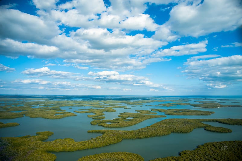 Ten Thousand Islands