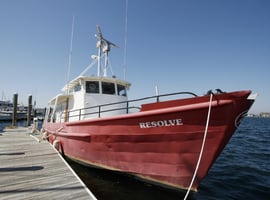 newport yachting center marina photos