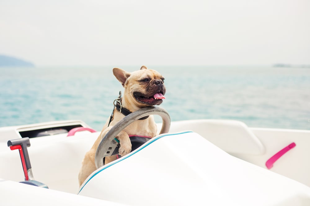 Boating Etiquette 101 From the Rules of the Road to Docking and More!