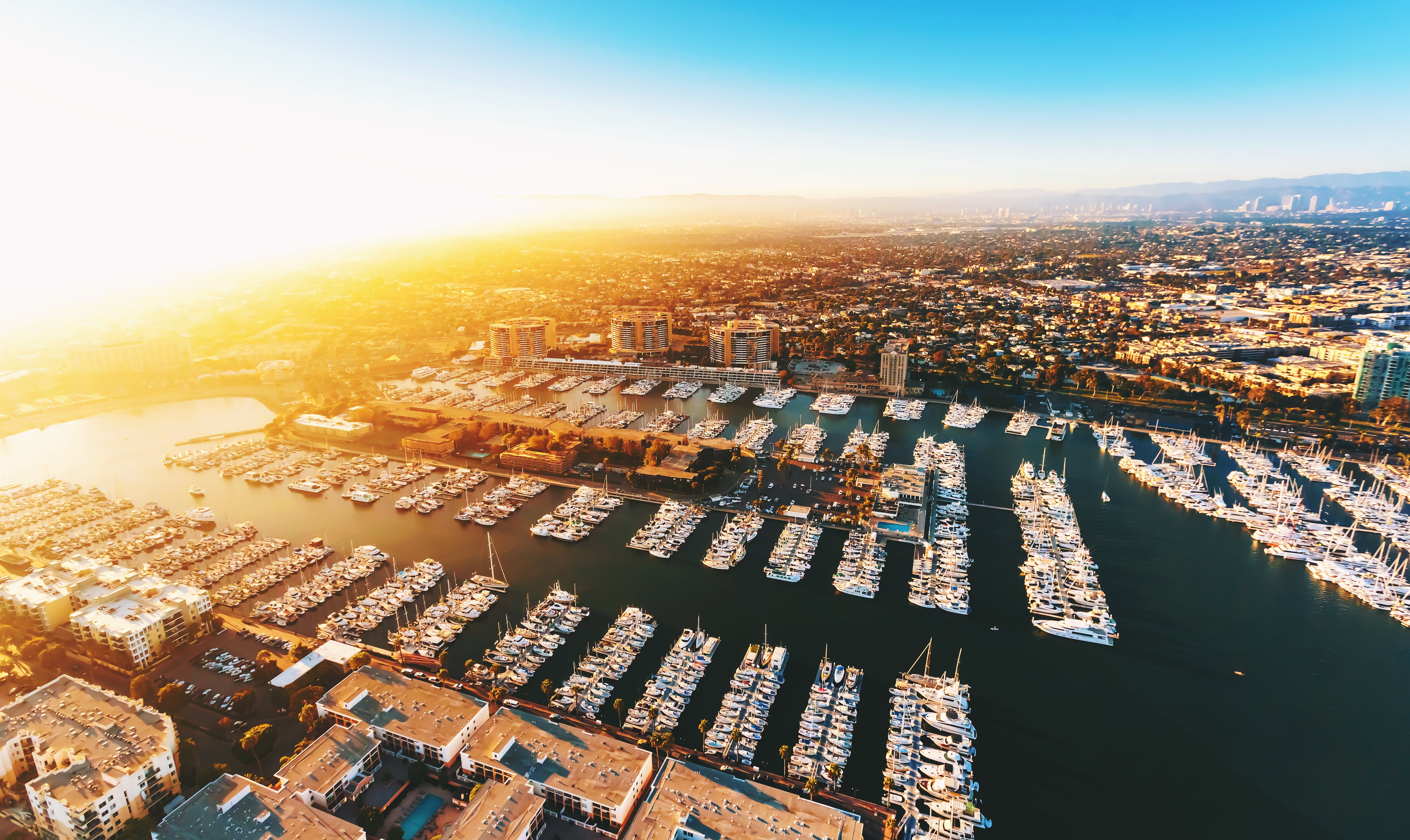 busy marina