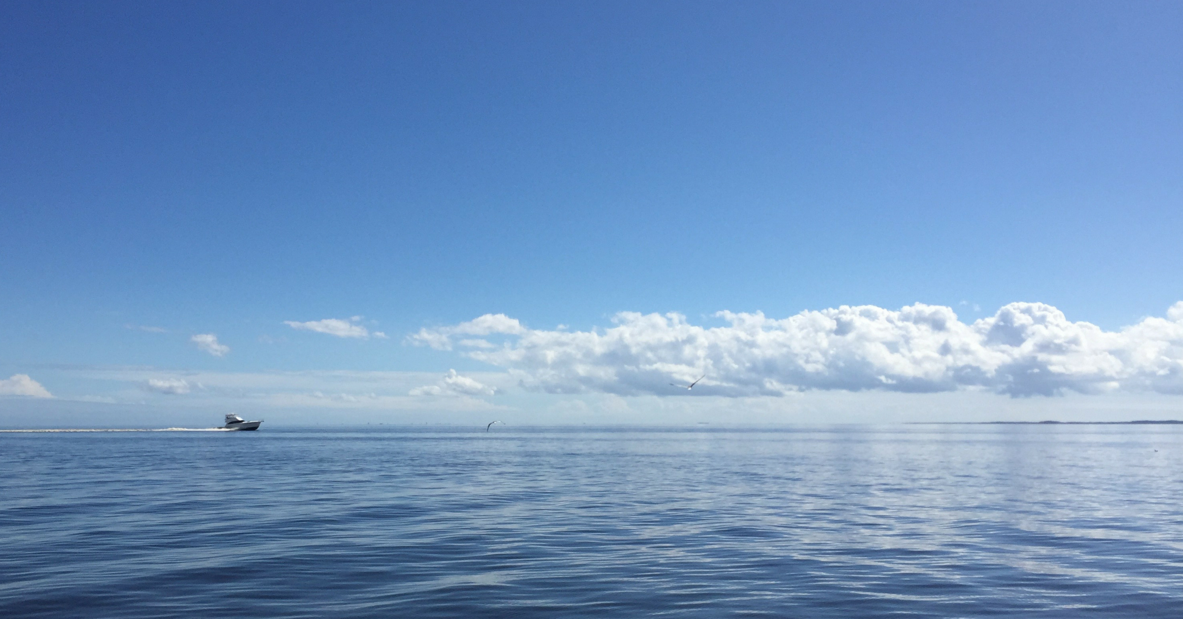 VVSB Blog header = to VA Beach + Southport (1).png