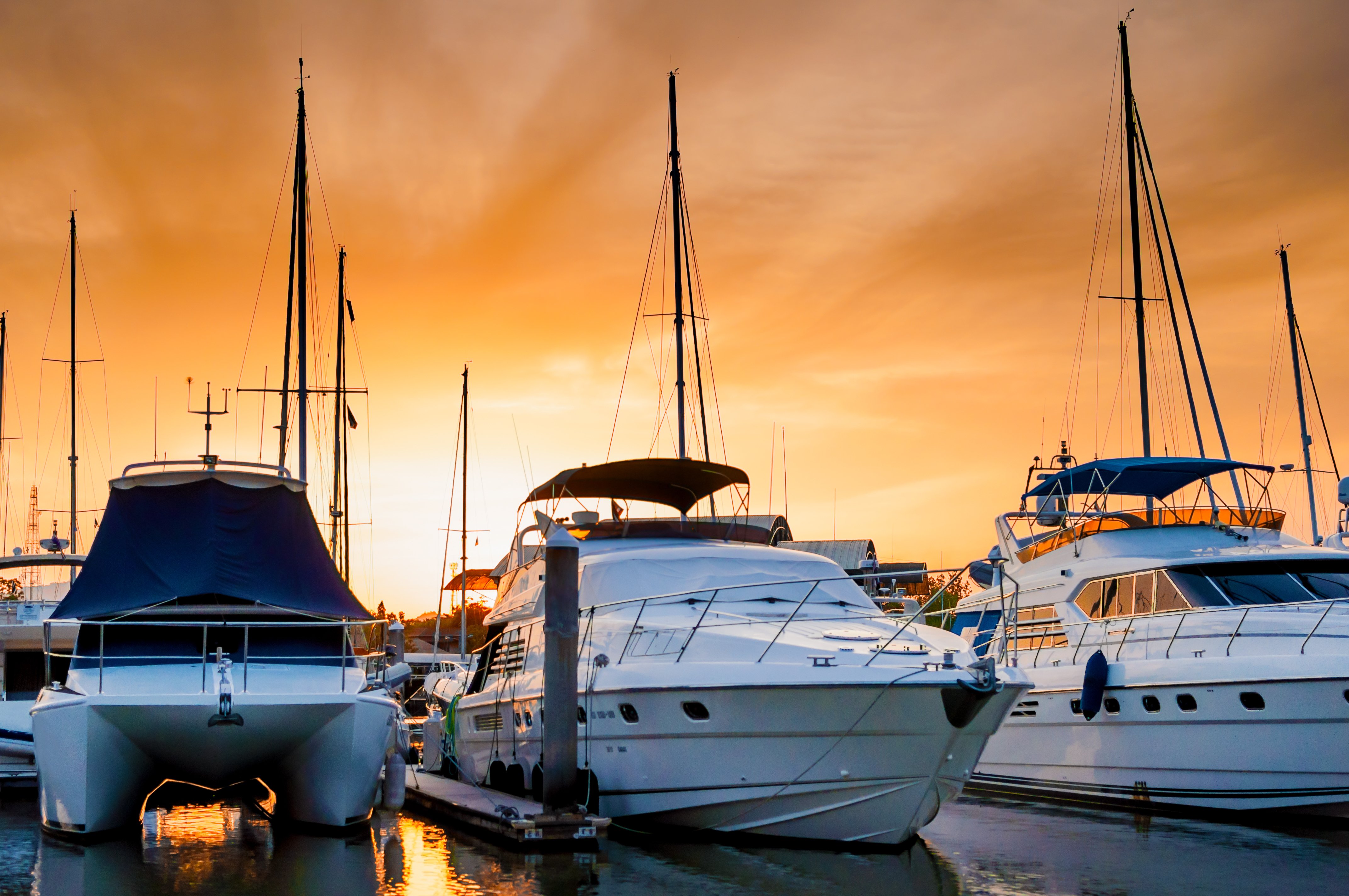 Dockwa Dispatch: June 2026
