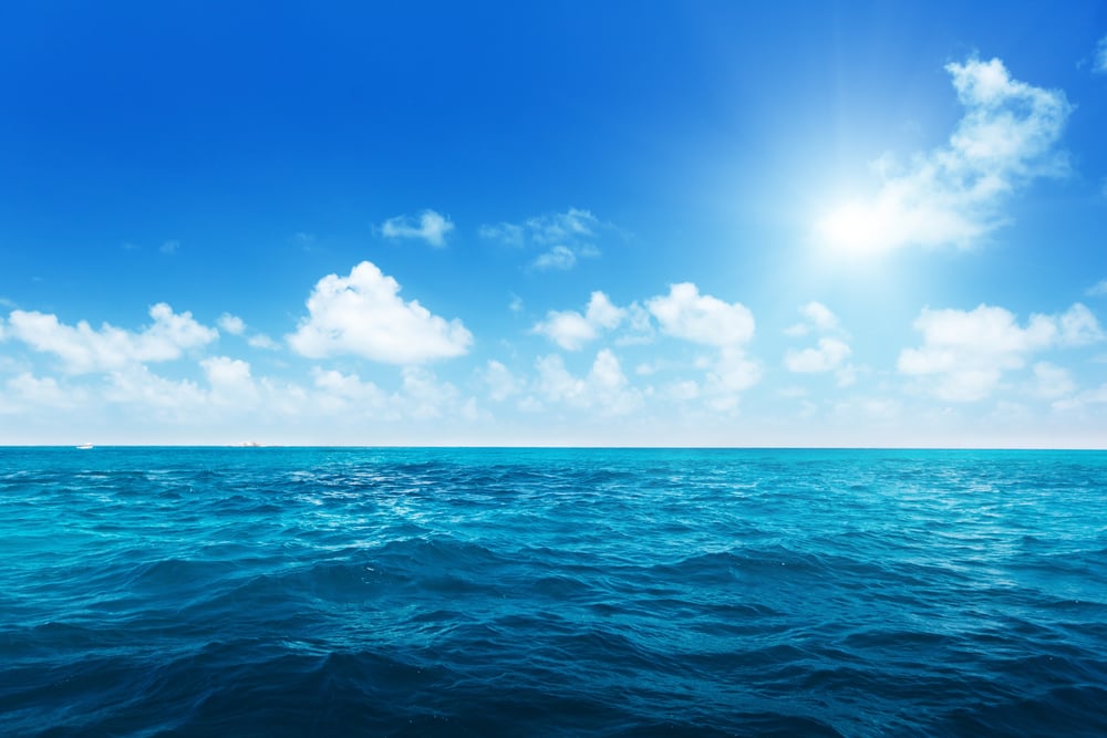 Dockwa Dispatch: May 2026