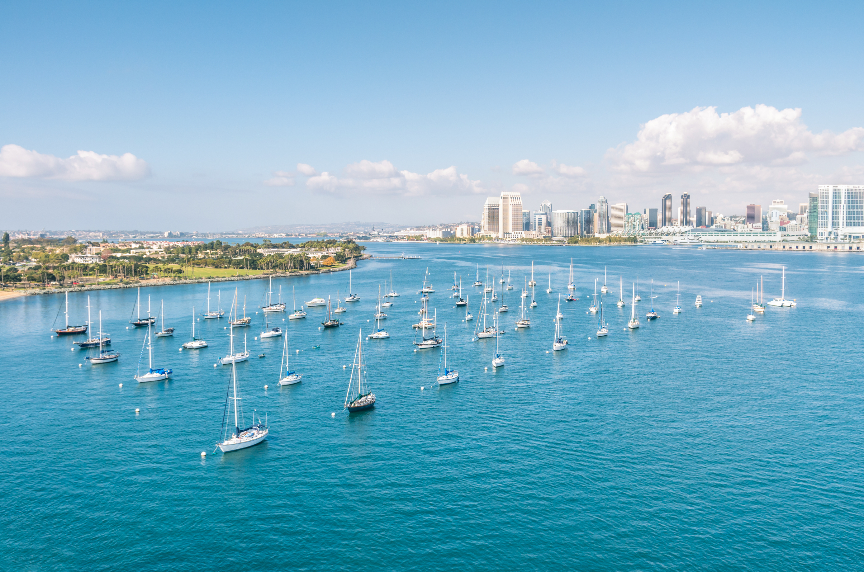 San Diego skyline and waterfront with sailing boats